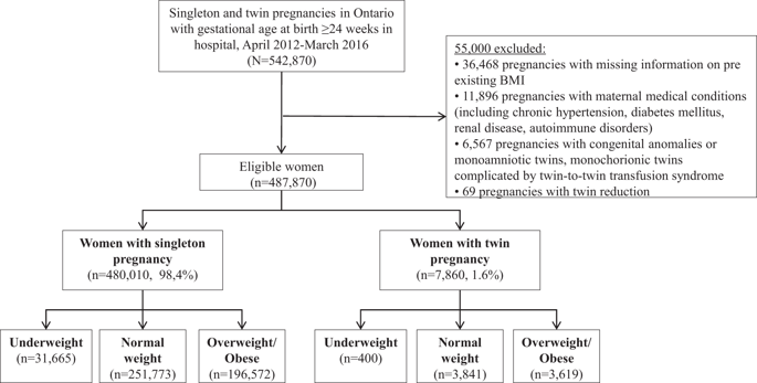The Relationship Between Maternal Body Mass Index And Pregnancy