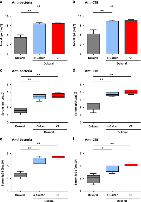 Alpha Galactosylceramide Enhances Mucosal Immunity To Oral Whole Cell Cholera Vaccines Mucosal Immunology X Mol