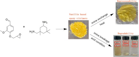 Vanillin-based Degradable Epoxy Vitrimers: Reprocessability And ...