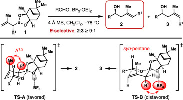 Enantioselective syntheses of (E)-γ,δ-disubstituted homoallylic ...