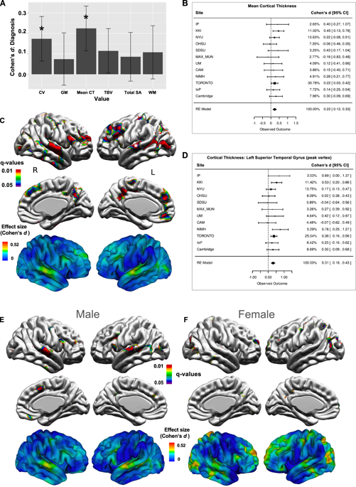 Large Scale Analyses Of The Relationship Between Sex Age And