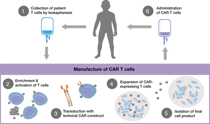 The Journey To CAR T Cell Therapy: The Pediatric And Young Adult ...