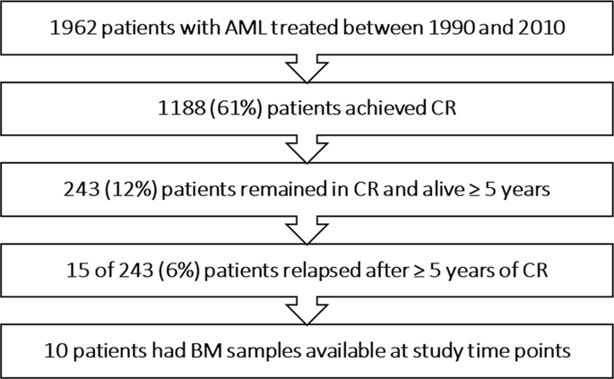 late-relapse-in-acute-myeloid-leukemia-aml-clonal-evolution-or