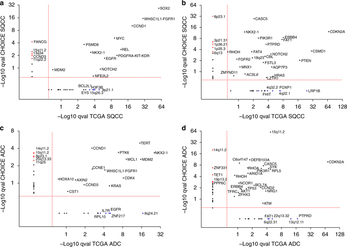 Comprehensive Genomic And Immunological Characterization Of Chinese Non ...