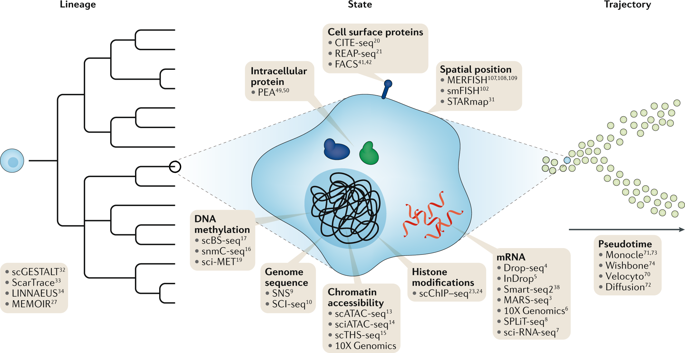 Integrative Single-cell Analysis.,Nature Reviews Genetics - X-MOL