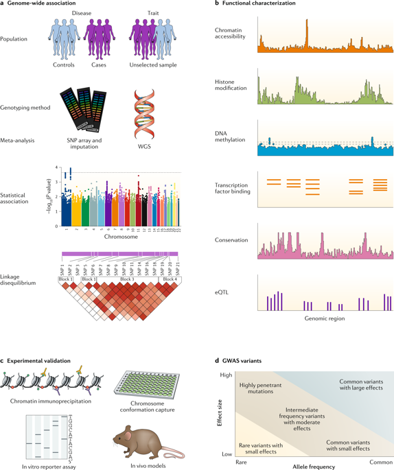 Benefits And Limitations Of Genome-wide Association Studies.,Nature ...