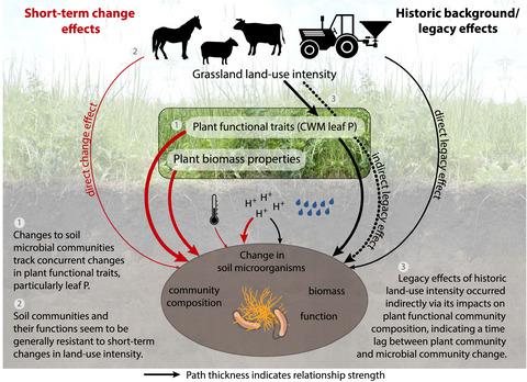 Plant functional trait shifts explain concurrent changes in the ...