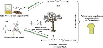 Metathesis Reaction From Bio Based Resources Synthesis Of Diols And Macrodiols Using Fatty Alcohols B Citronellol And Natural Rubber Polymer Degradation And Stability X Mol