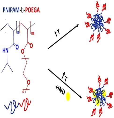 Synthesis And Self‐assembly Of Thermoresponsive Poly(N ...