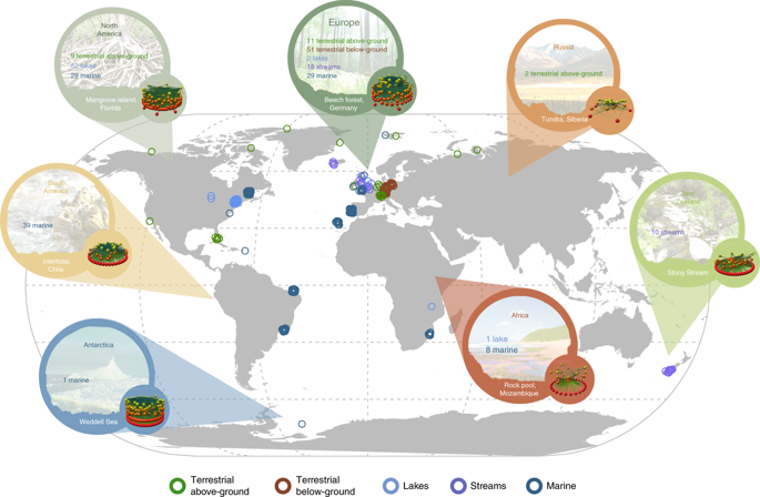 predator-traits-determine-food-web-architecture-across-ecosystems