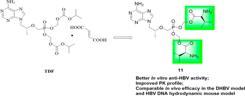 Design Synthesis And Anti Hbv Activity Of New Bis L Amino Acid Ester Tenofovir Prodrugs Acs Medicinal Chemistry Letters X Mol