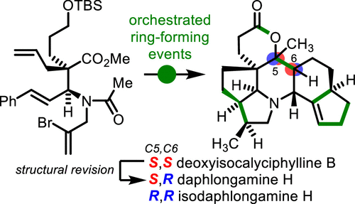 The Calyciphylline B-type Alkaloids: Total Syntheses Of ...