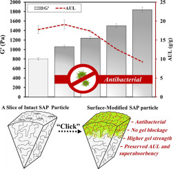 Click On Sap Superabsorbent Polymer Surface Modification Via Cuaac Reaction Toward Antibacterial Activity And Improved Swollen Gel Strength Applied Surface Science X Mol