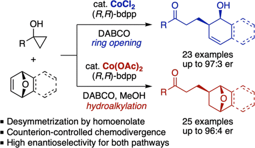 Cobalt-Catalyzed Enantioselective And Chemodivergent Addition Of ...