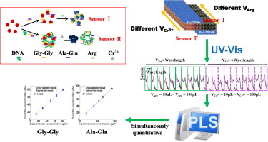 Uv Vis Sensor Array Combining With Chemometric Methods For Quantitative Analysis Of Binary Dipeptide Mixture Gly Gly Ala Gln Spectrochimica Acta Part A Molecular And Biomolecular Spectroscopy X Mol