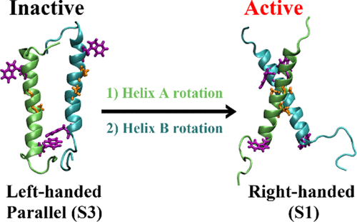 Structural Investigation Of Human Prolactin Receptor Transmembrane Domain Homodimerization In A Membrane Environment Through Multiscale Simulations J Phys Chem B X Mol