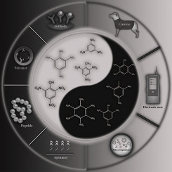 Biosensors For Explosives State Of Art And Future Trends Trends In Analytical Chemistry X Mol