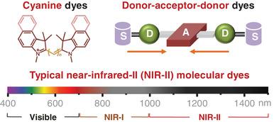Near-infrared fluorescent nanoprobes for cancer molecular 