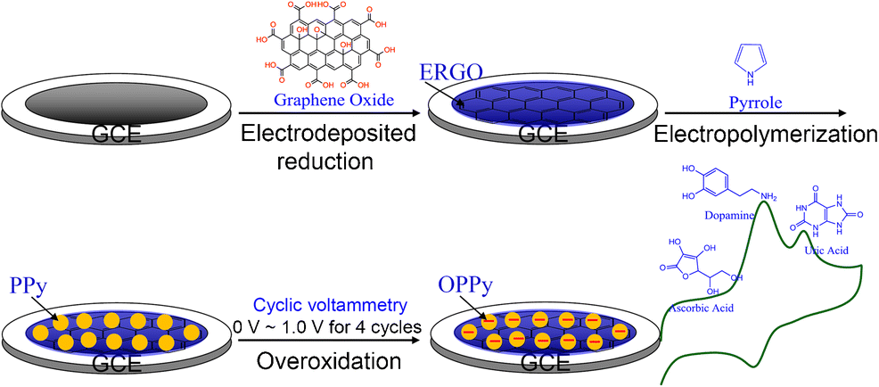 Preparation Of A Glassy Carbon Electrode Modified With Reduced Graphene ...