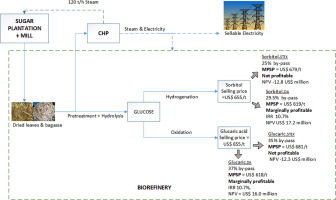 典型糖厂中化学催化木质纤维素生物精炼厂的技术经济分析 山梨糖醇或葡糖二酸与电力联产 Bioresource Technology X Mol