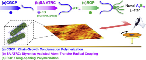 Synthesis And Self Assembly Of Poly N Octyl Benzamide M Poly E Caprolactone Miktoarm Star Copolymers Displaying Uniform Nanofibril Morphology Polymer X Mol