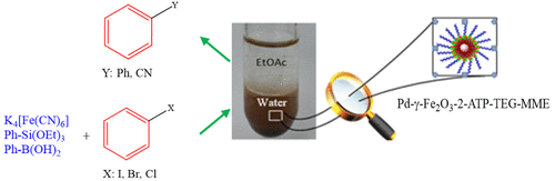 A Novel Water Dispersible Magnetically Recyclable Pd Catalyst For C C Cross Coupling Reactions In Pure Water Organic Process Research Development X Mol