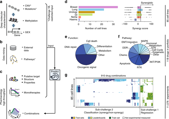 Community Assessment To Advance Computational Prediction Of Cancer Drug Combinations In A Pharmacogenomic Screen Nature Communications X Mol