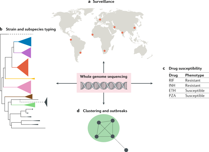 Whole Genome Sequencing Of Mycobacterium Tuberculosis: Current ...