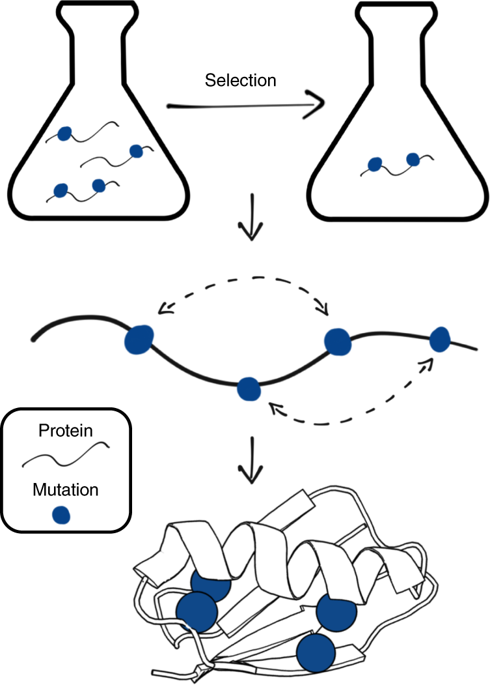 Inferring Protein 3D Structure From Deep Mutation Scans.,Nature ...