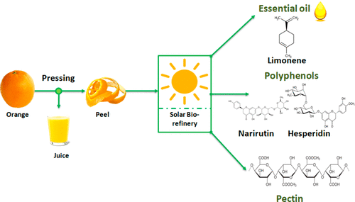 Green Extraction Of Essential Oils Polyphenols And Pectins From Orange Peel Employing Solar Energy Toward A Zero Waste Biorefinery Acs Sustainable Chemistry Engineering X Mol