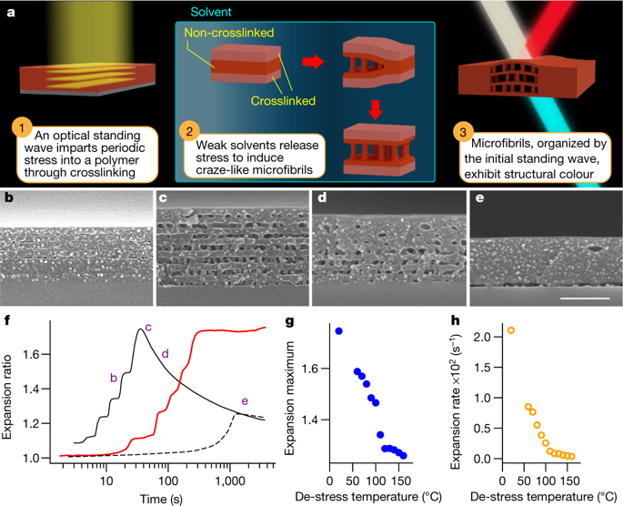 Structural Colour Using Organized Microfibrillation In Glassy Polymer