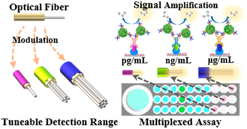 Optical Fiber-Mediated Immunosensor With A Tunable Detection Range For ...