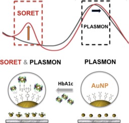 Label Free Nanostructured Sensor For The Simple Determination Of Glycosylated Hemoglobin Hba1c Sensors And Actuators B Chemical X Mol