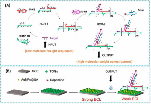 Ultrasensitive Electrochemiluminescence Detection Of MicroRNA Via One ...