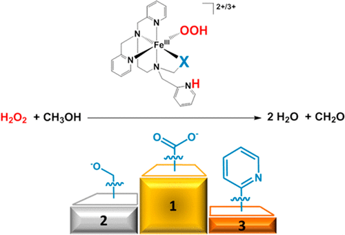 Cis Donor Influence On O O Bond Lability In Iron Iii Hydroperoxo Complexes Oxidation Catalysis And Ligand Transformation Inorganic Chemistry X Mol