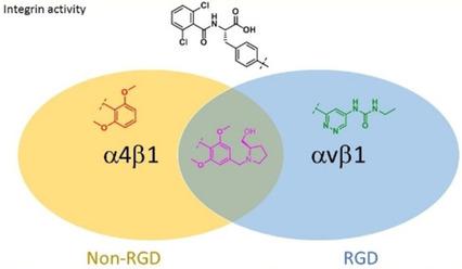 The Design Of Potent Selective And Drug Like Rgd Avb1 Small Molecule Inhibitors Derived From Non Rgd b1 Antagonists Chemmedchem X Mol