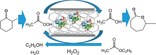 Continuous Flow Chemo-Enzymatic Baeyer–Villiger Oxidation With ...