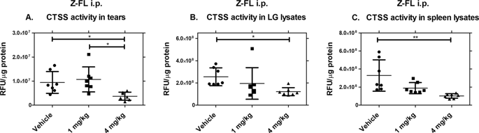 Inhibition Of Cathepsin S Reduces Lacrimal Gland Inflammation And Increases Tear Flow In A Mouse Model Of Sjogren S Syndrome Scientific Reports X Mol