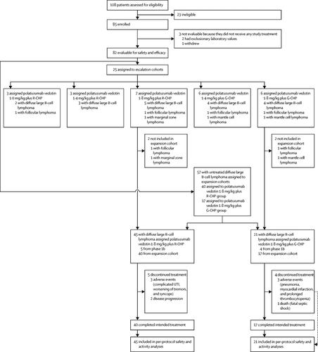 Polatuzumab Vedotin In Combination With Immunochemotherapy In Patients ...