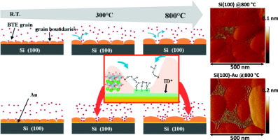 Growth Process And Grain Boundary Defects In Er Doped BaTiO3 Processed ...