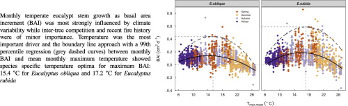 Relationships Of Intra Annual Stem Growth With Climate Indicate Distinct Growth Niches For Two Co Occurring Temperate Eucalypts Science Of The Total Environment X Mol