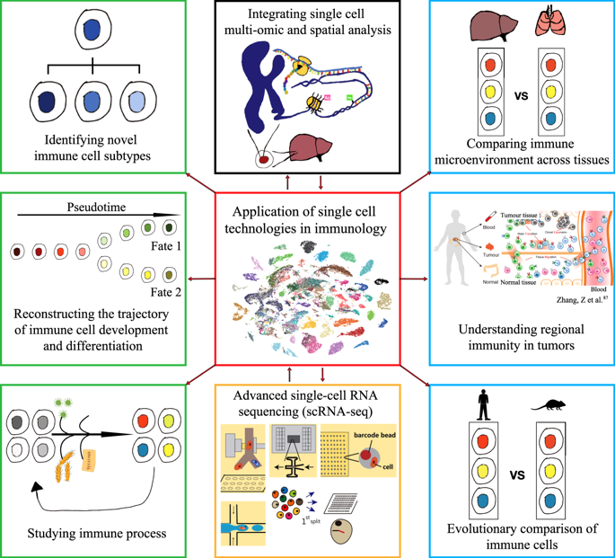 Revolutionizing Immunology With Single-cell RNA Sequencing.,Cellular ...