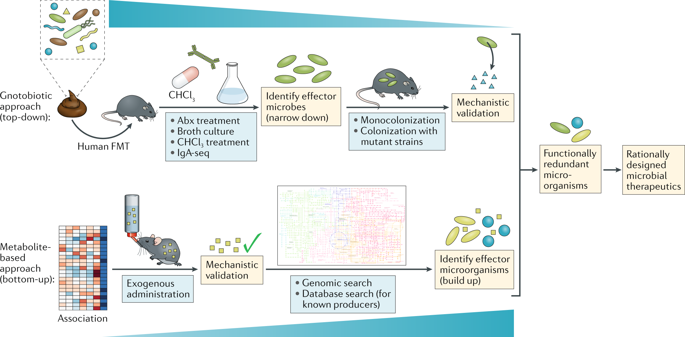 Mining The Microbiota For Microbial And Metabolite-based ...