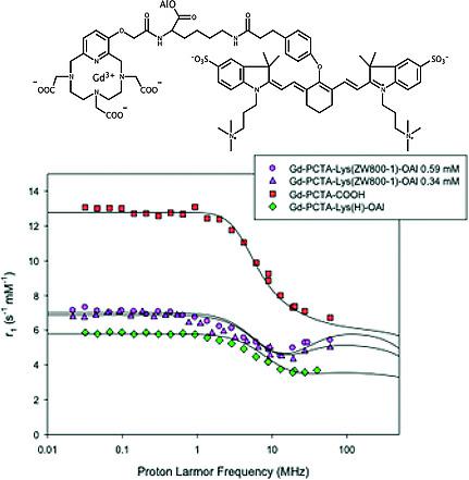 Bimodal Probe For Magnetic Resonance Imaging And Photoacoustic Imaging Based On A Pcta Derived Gadolinium Iii Complex And Zw800 1 European Journal Of Inorganic Chemistry X Mol