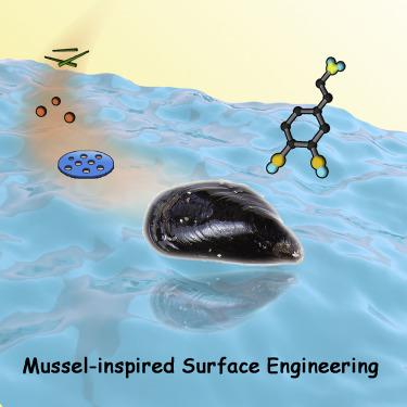 Mussel-Inspired Surface Engineering For Water-Remediation Materials ...