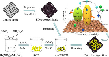 Immobilizing CuO/BiVO4 nanocomposite on PDA-templated cotton 