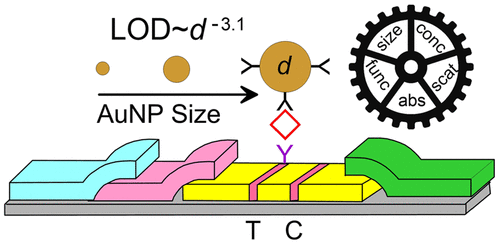 Gold Nanoparticle Based Enhanced Lateral Flow Immunoassay For Zohal