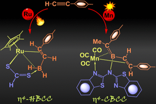Hydroboration Of Alkynes H4 Alkene Borane Versus H4 E Boratabutadiene Inorganic Chemistry X Mol
