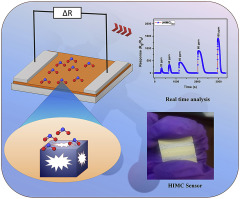 Hollow In O Microcubes For Sensitive And Selective Detection Of No Gas Journal Of Alloys And