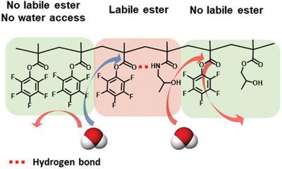 Copolymerization Of Pentafluorophenylmethacrylate With Hydrophilic ...